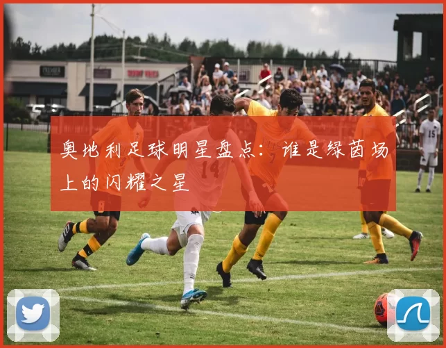 奥地利足球明星盘点：谁是绿茵场上的闪耀之星