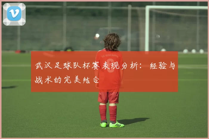 武汉足球队杯赛表现分析：经验与战术的完美结合