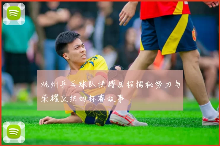 杭州乒乓球队拼搏历程揭秘努力与荣耀交织的杯赛故事