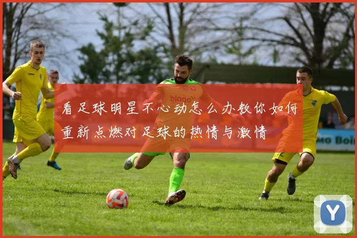 看足球明星不心动怎么办教你如何重新点燃对足球的热情与激情